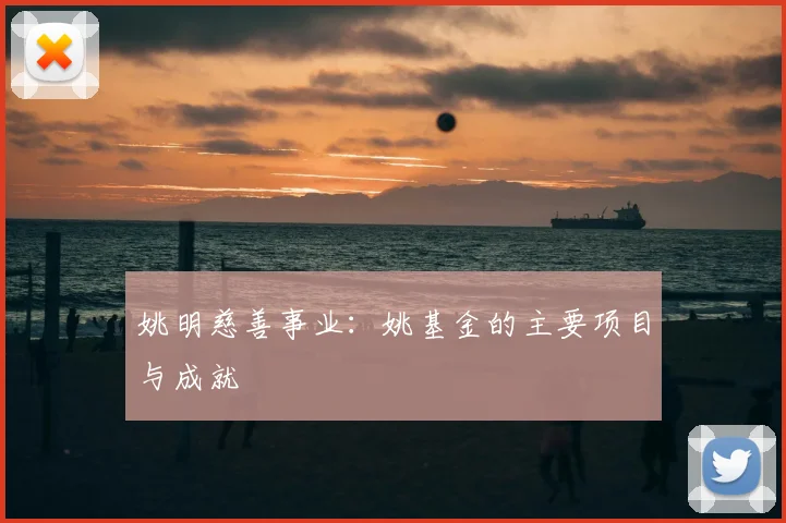 姚明慈善事业：姚基金的主要项目与成就